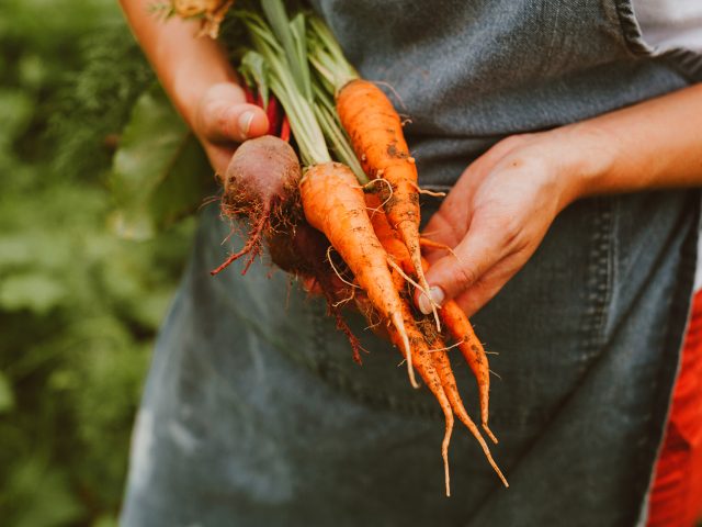 Hub Cafe, Homepage, Farmers' Market